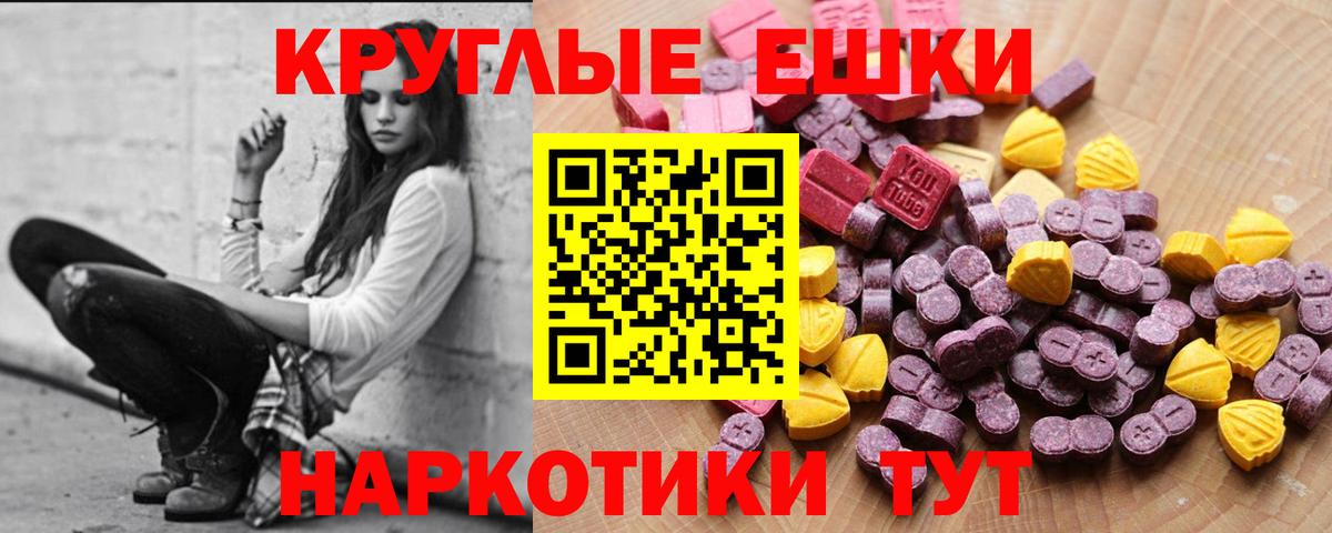ЭКСТАЗИ Philipp Plein  цены наркотик  Новозыбков  Вход с VPN  ЭКСТАЗИ ешки 