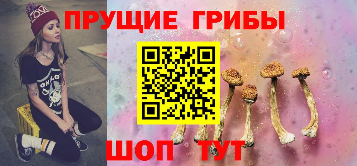 Псилоцибиновые грибы Psilocybe  Вход с VPN  Новозыбков 