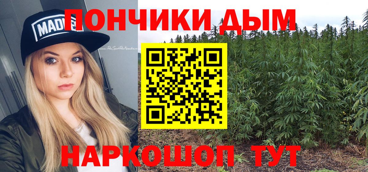 Бошки Шишки SATIVA & INDICA  Вход с VPN  Конопля ГИДРОПОН  Новозыбков 